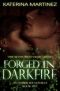 [Amber Lee Mysteries 05] • Forged in Darkfire